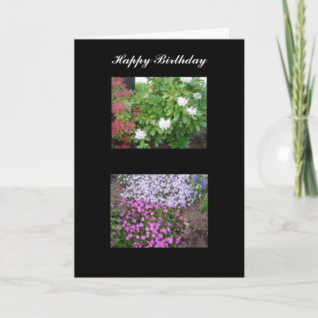 Nature Birthday card (Front)