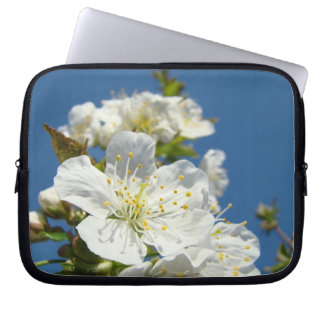 Nature Blue Sky Cherry Blossoms Spring sleeves
