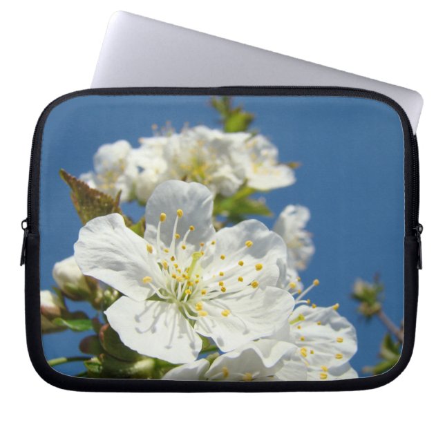 Nature Blue Sky Cherry Blossoms Spring sleeves (Front)