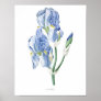 Nature,botanical print,flower art poster of Iris