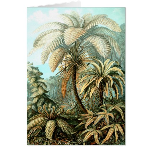 Nature by Ernst Haeckels Kunstformen Cards (Front)