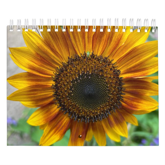 Nature Calendar (Cover)