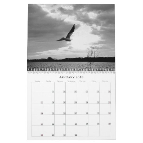 Nature calendar 2008