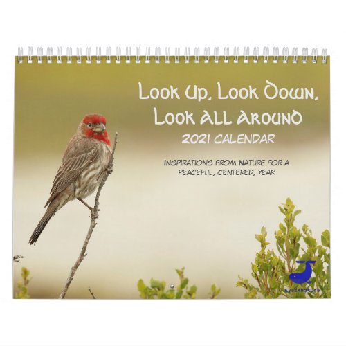 Nature Calendar Look Up Look Down Look All Arou Calendar