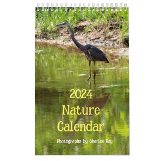 Nature Calendar, White, Single Page Calendar