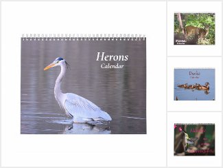Nature Calendars