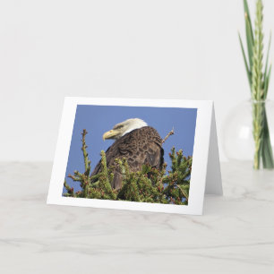 Nature Climate Note Card