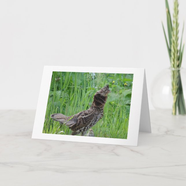 Nature Climate Note Card (Front)