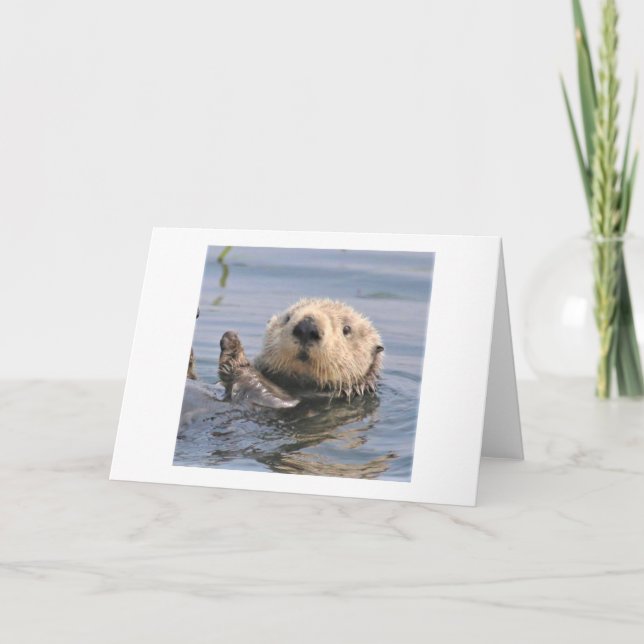 Nature Climate Note Card (Front)