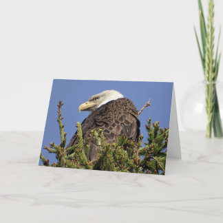 Nature Climate Note Card
