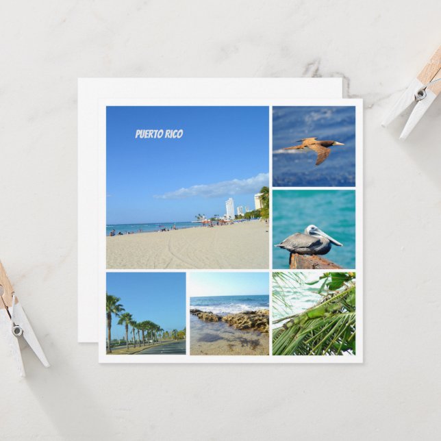 Nature collage of San Juan, Puerto Rico   (Front/Back In Situ)