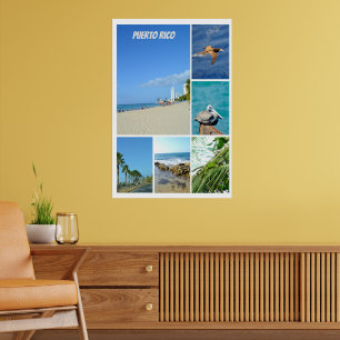 Nature collage of San Juan, Puerto Rico  Poster