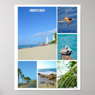 Nature collage of San Juan, Puerto Rico Poster