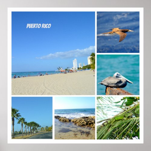 Nature collage of San Juan Puerto Rico  Poster