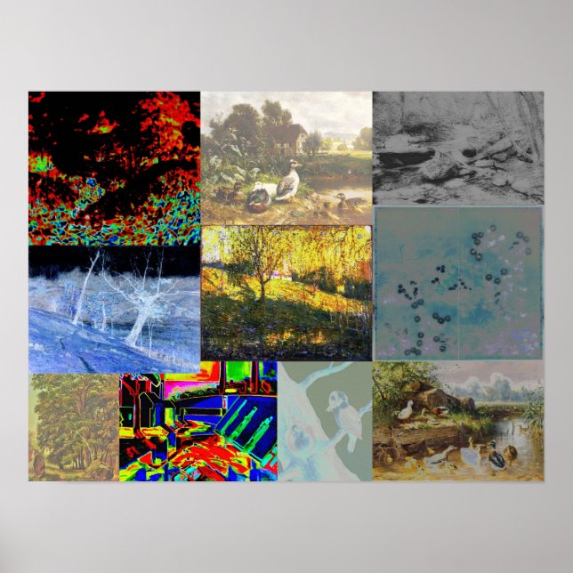 Nature Collage Poster (Front)