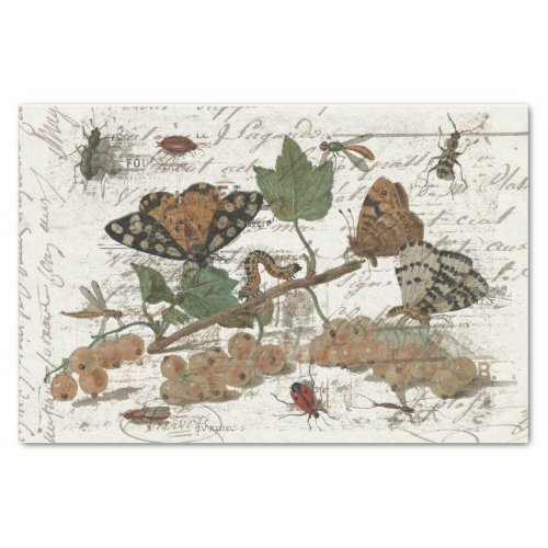 Nature Collage Tissue Paper