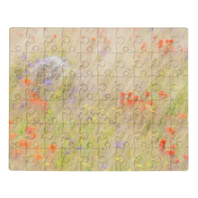 Nature Conservancy | San Juan Islands, WA Jigsaw Puzzle (Puzzle Horizontal)