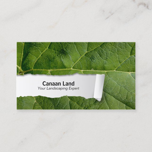 Nature Customizable Leaf Closeup Business Card (Front)