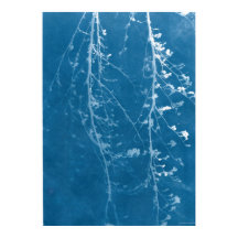 Nature Cyanotype in Blue Print & Digital Download