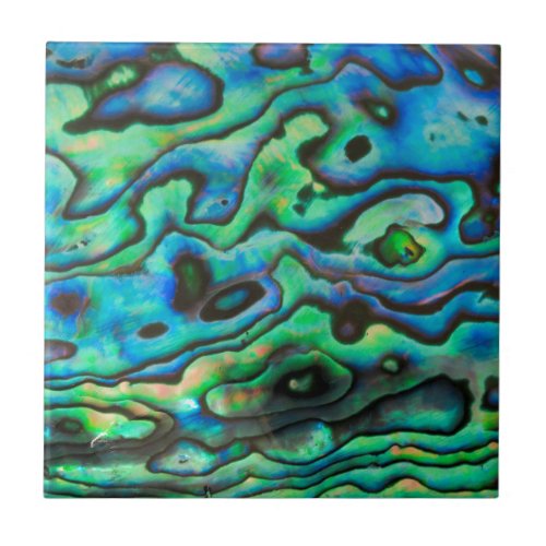 Nature design paua abalone shell tile