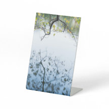 NATURE DESIGN