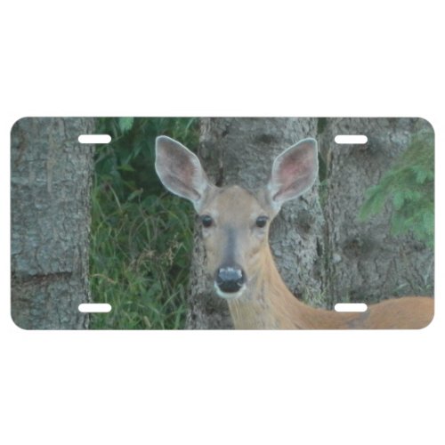 Nature design whitetail deer doe brake road animal license plate