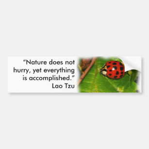 Nature Does Not Hurry Bumper Sticker