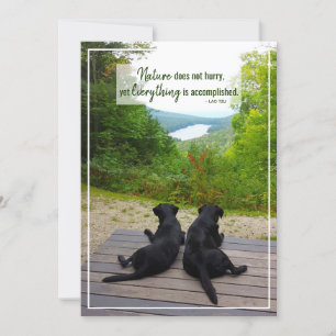 Nature Does Not Hurry Inspirational Life Quote Card