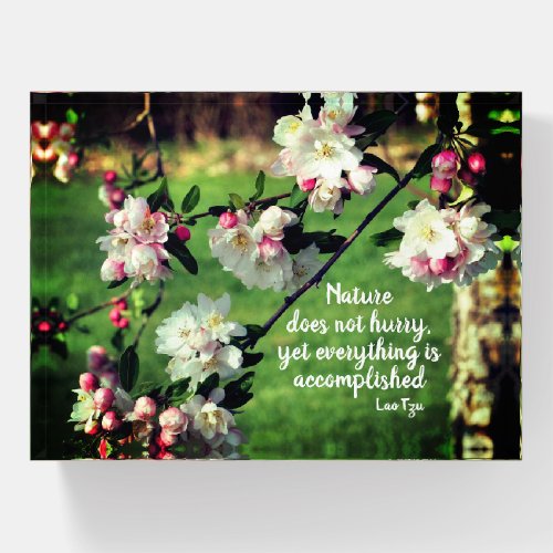 Nature Does Not Hurry Inspirational Quote  Paperweight