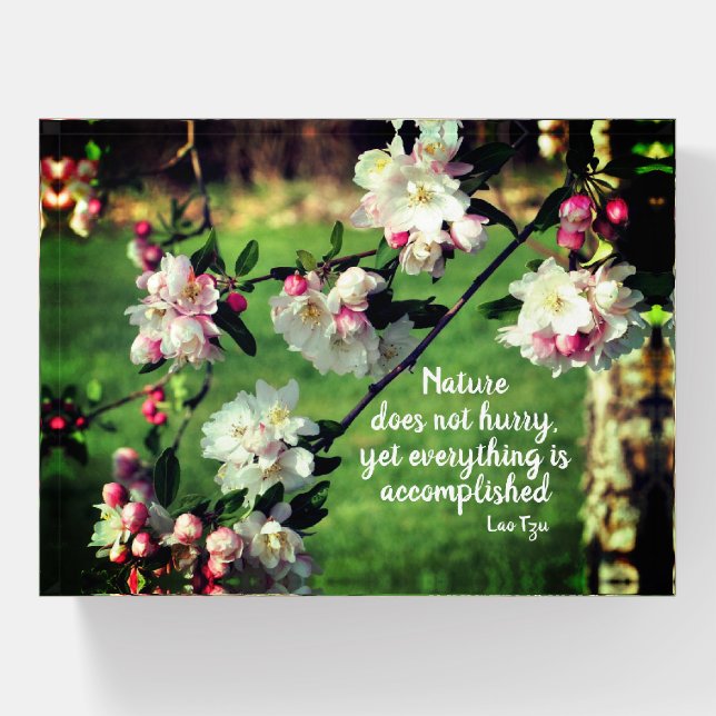 Nature Does Not Hurry Inspirational Quote  Paperweight (Front)