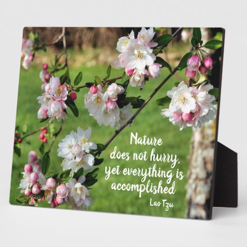 Nature Does Not Hurry Inspirational Quote Plaque