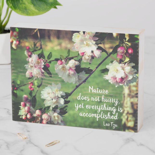 Nature Does Not Hurry Inspirational Quote Wooden Box Sign (In Situ Horizontal)