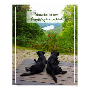 Nature Does Not Hurry - Life Inspirational Quote Poster