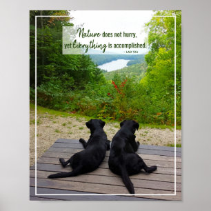 Nature Does Not Hurry - Life Inspirational Quote Poster