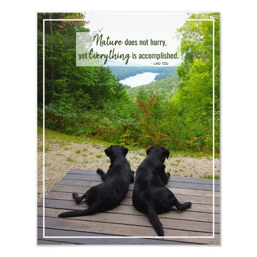 Nature Does Not Hurry _ Life Motivational Quote Photo Print