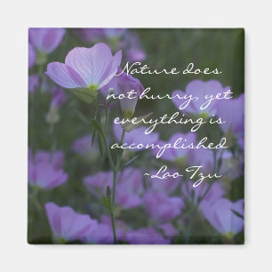 nature does not hurry magnet