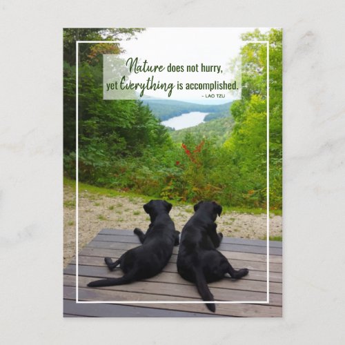 Nature Does Not Hurry Quote Life Inspirational Postcard