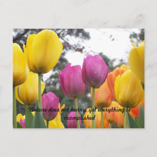 Nature does not hurry, yet everything... postcard