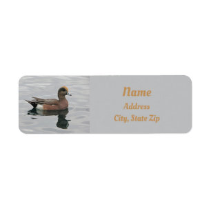 Nature Duck Photo Male Wigeon on Water Label