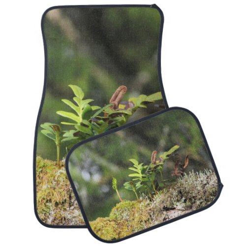 Nature Enthusiast Forest Hiking Green Plant Camper Car Floor Mat