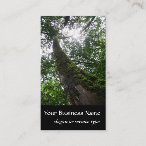 NatureEvergreen Cypress Tree Business Card