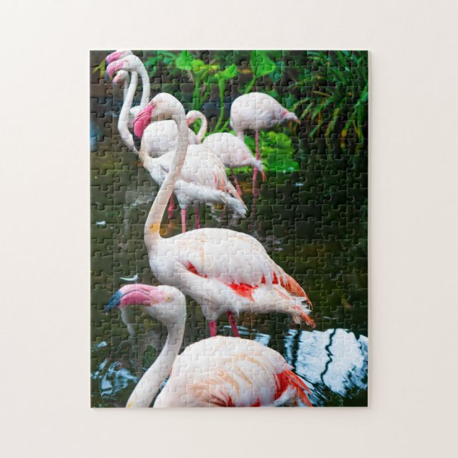 Nature Flamingo Jigsaw Puzzle (Vertical)