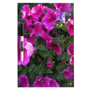 Nature, Flora, Pink Flower Dry-Erase Board