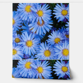 Nature Floral Bloom Flowers Petals Botanical Wallpaper