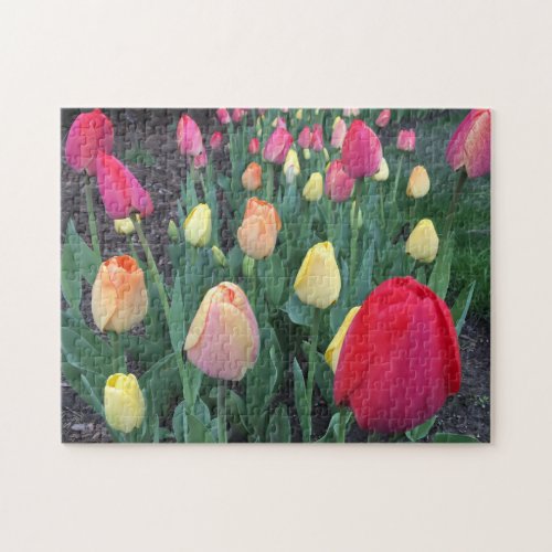 Nature Floral Tulips Photo Jigsaw Puzzle