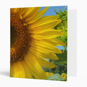 nature, flower, summer, sunflower, blossom, floral 3 ring binder