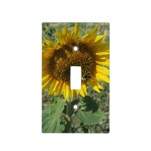 nature, flower, summer, sunflower, blossom, floral light switch cover