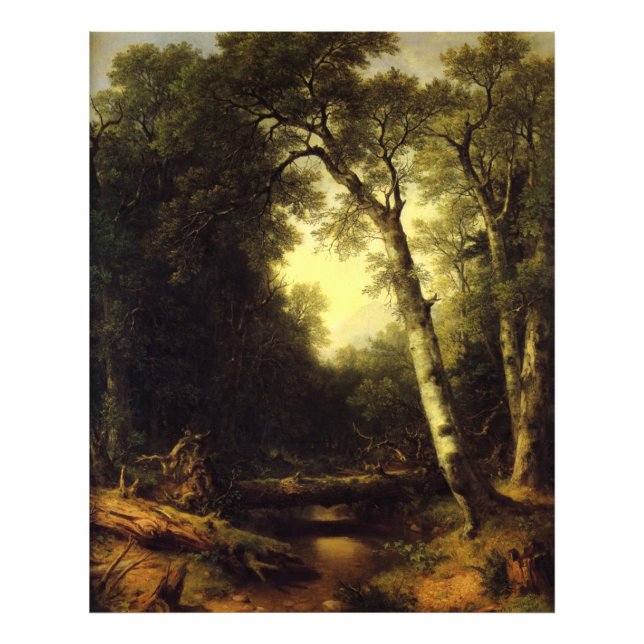 Nature Forest Portrait Photo Print (Front)