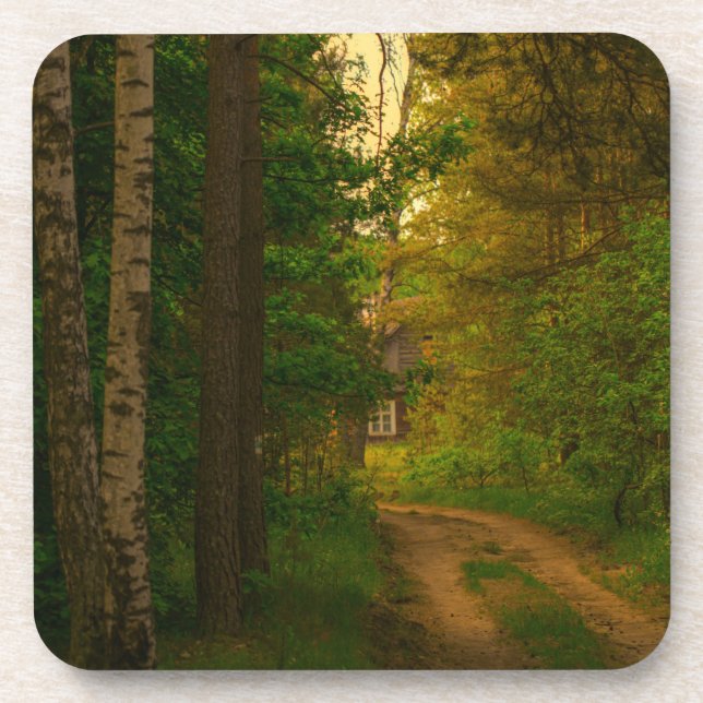 Nature Forest Rural Hut Village Belarus Beverage Coaster (Front)