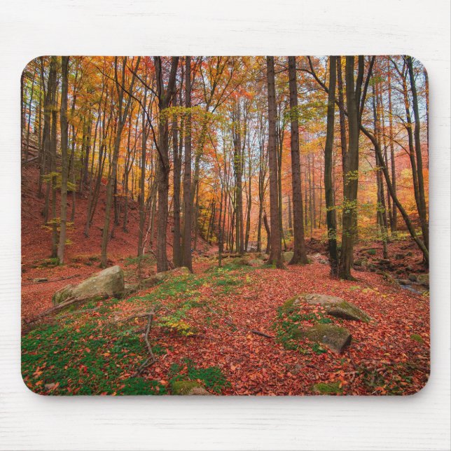 nature, forest, trees mouse pad (Front)